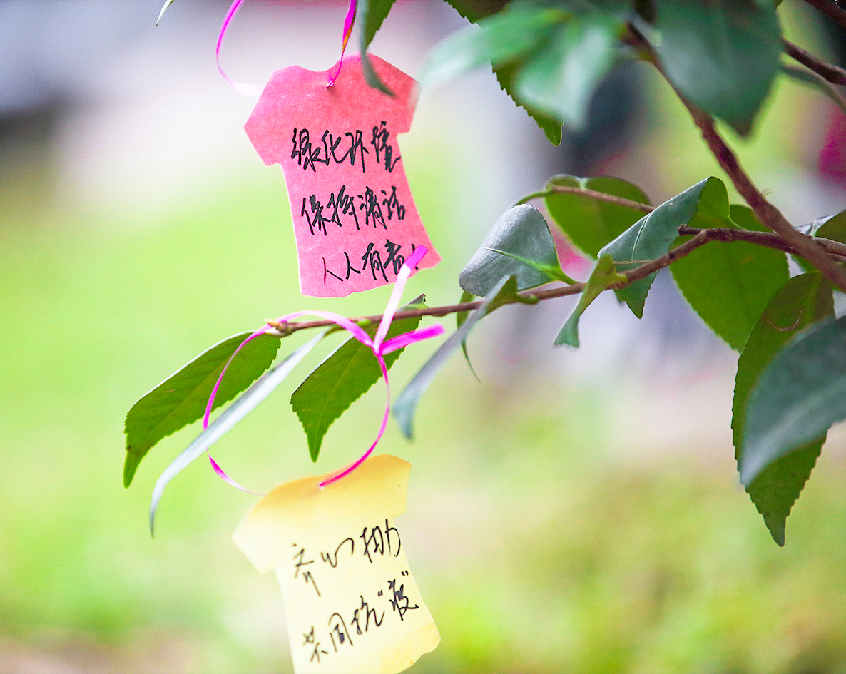 IMG_9375.jpg IMG_9375.jpg