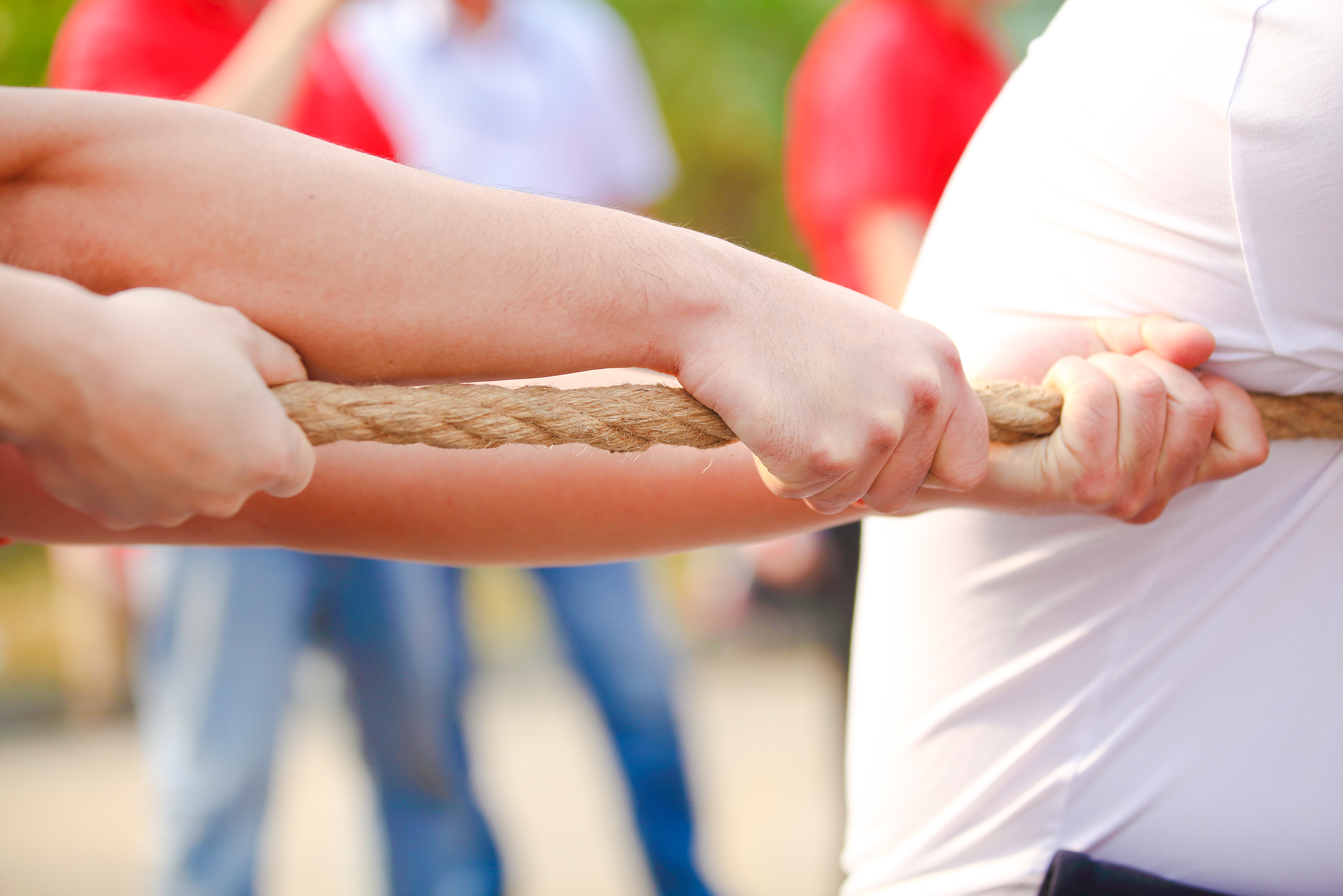 IMG_0903.jpg IMG_0903.jpg