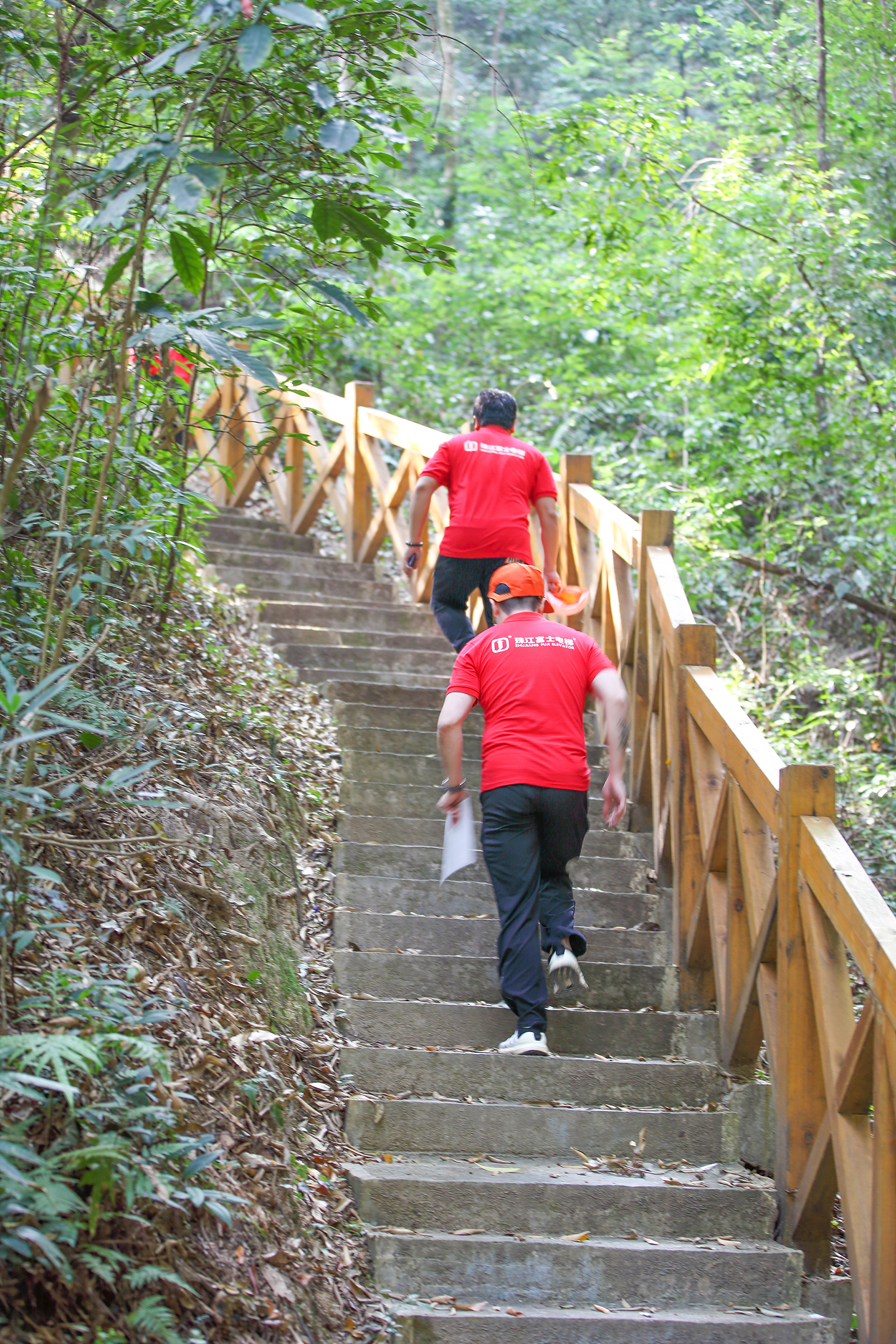 IMG_9535.jpg IMG_9535.jpg