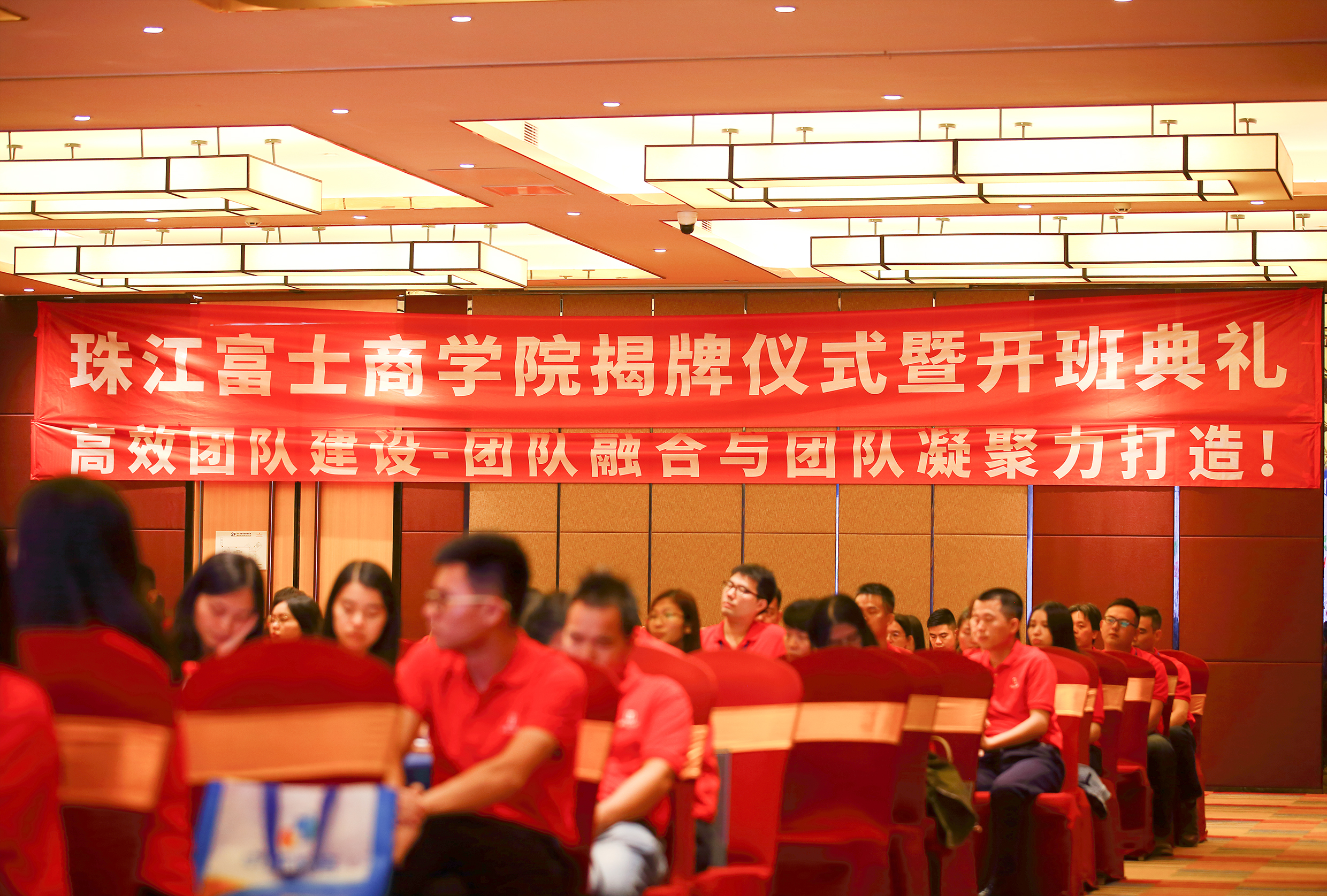 IMG_6884-2.jpg IMG_6884-2.jpg